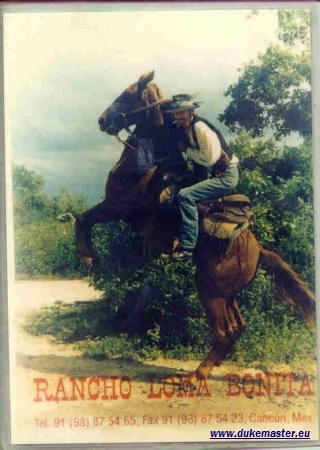 s_a_r_e_u 2
