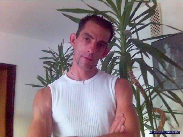 Stressy_is_back