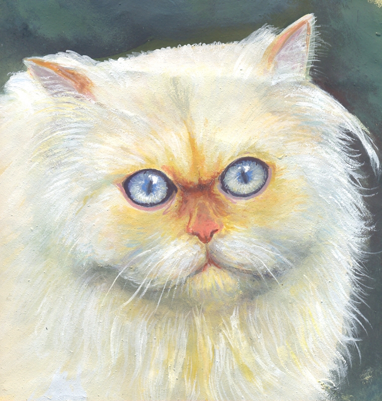 CAT_1