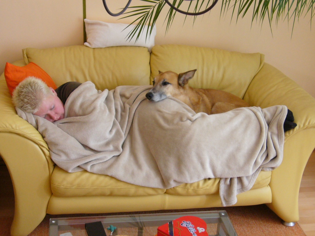 Kleine süsse Muhkuh mit Hundi