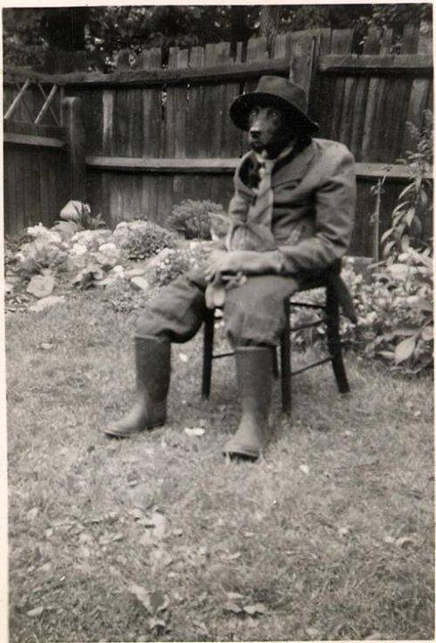 Hund als Mensch verkleidet