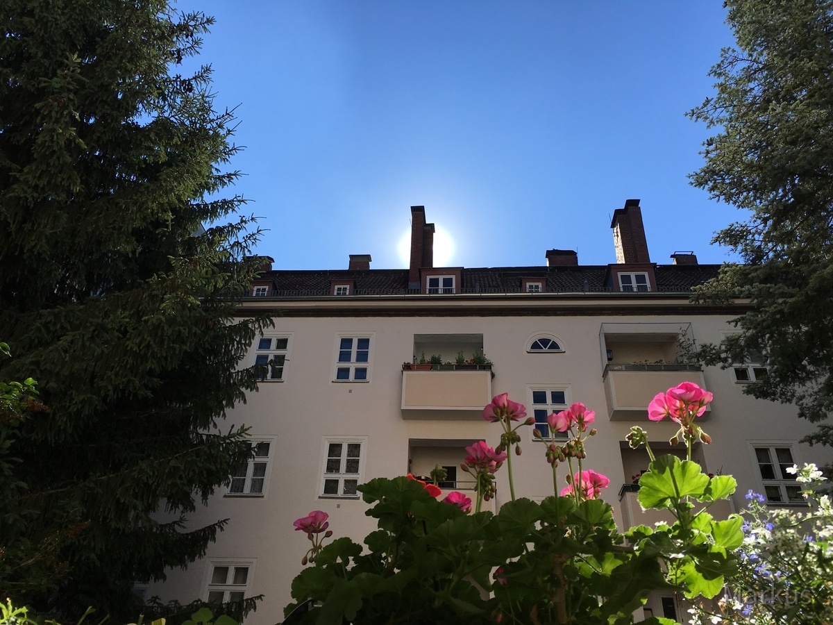 Sonnenaufgang im Berliner Hinterhof mit Blumenbalkon