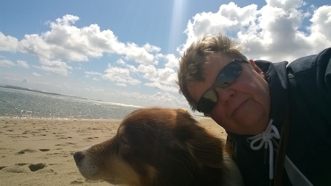 Blue Wölfin und Cato auf sylt