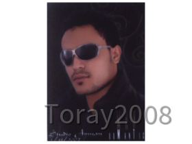 Toray2008