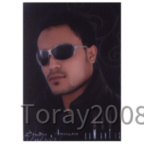 Toray2008