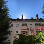 Sonnenaufgang im Berliner Hinterhof mit Blumenbalkon