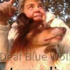 deaf_blue_wölfin