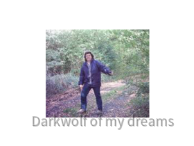 darkwolf_of_my_dreams 2