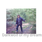 darkwolf_of_my_dreams 2