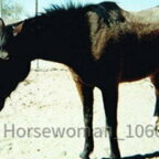 horsewoman_1060 3